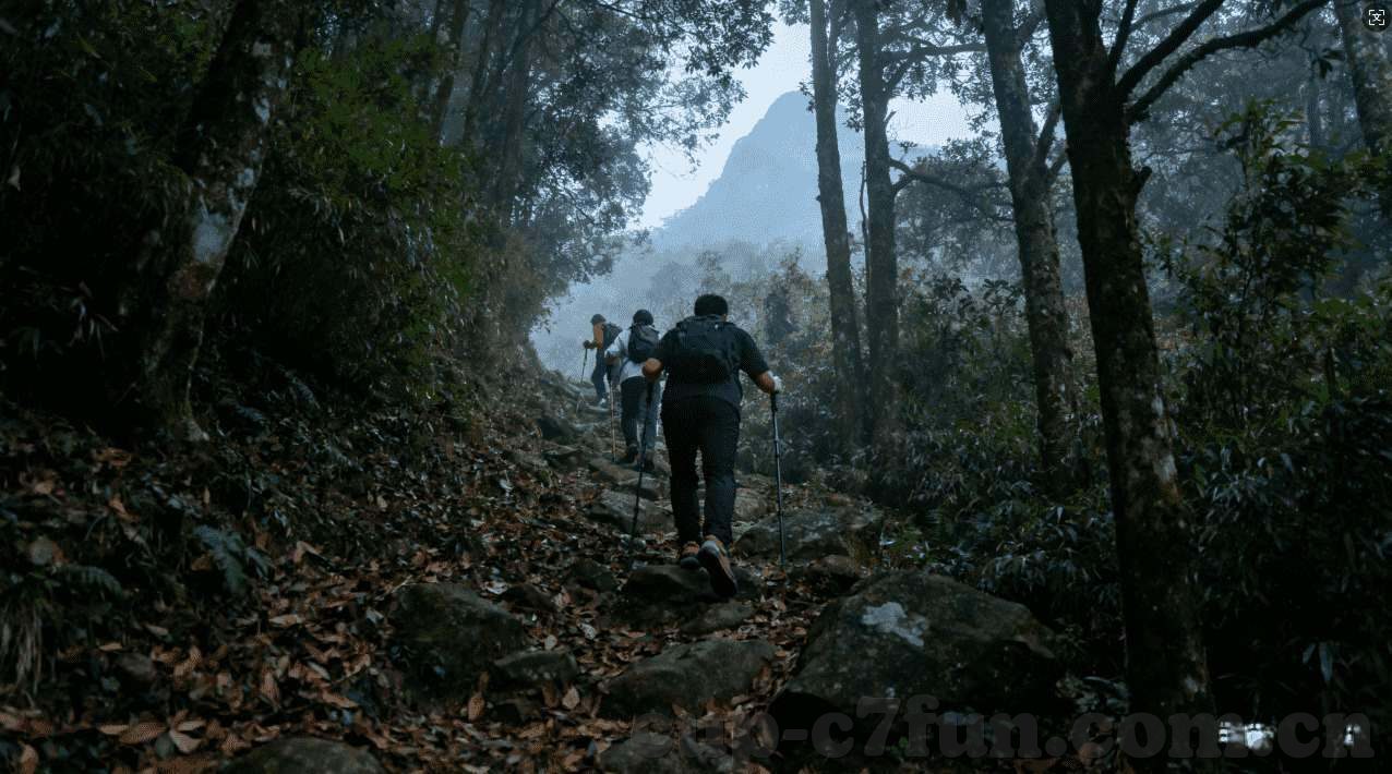 天天爱西游九游版下载-天天爱西游九游版，畅游西行的奇妙之旅